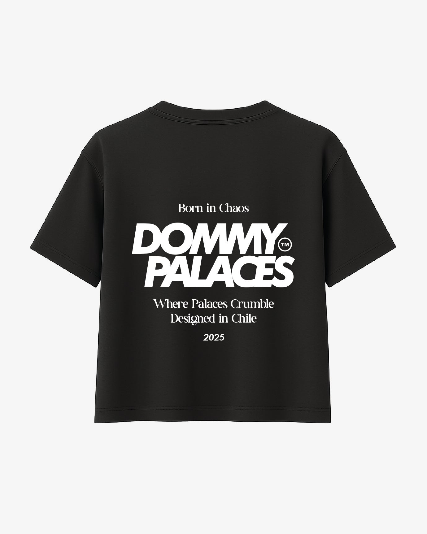 Polera Boxy Fit Negra