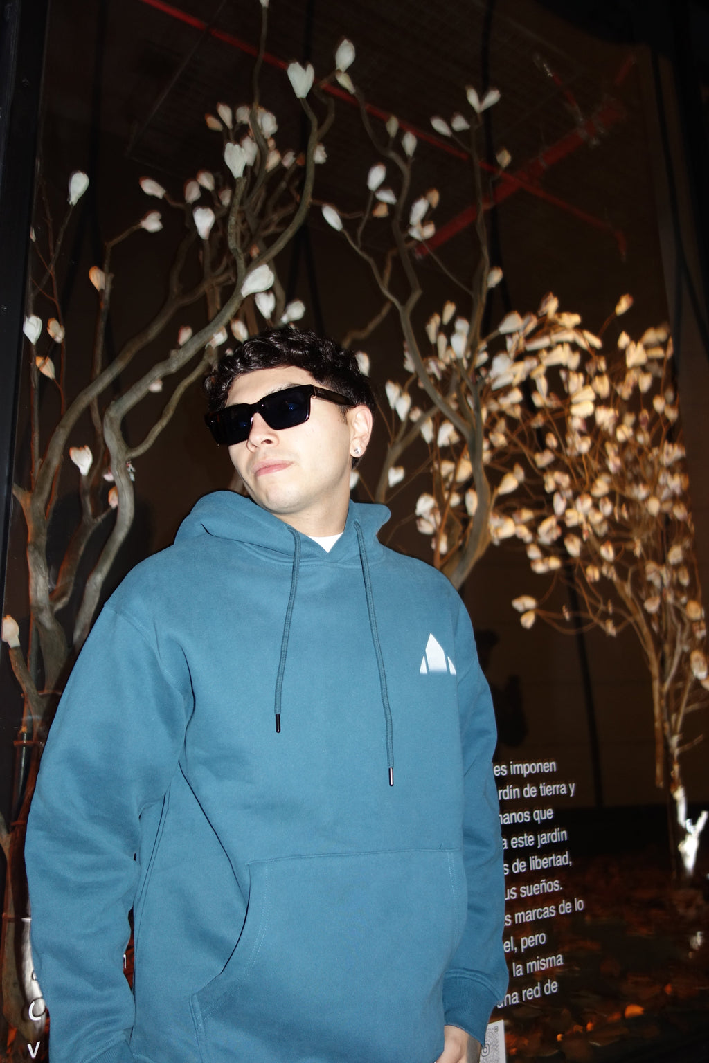 Hoodie ILuminium (HEAVYWEIGHT)