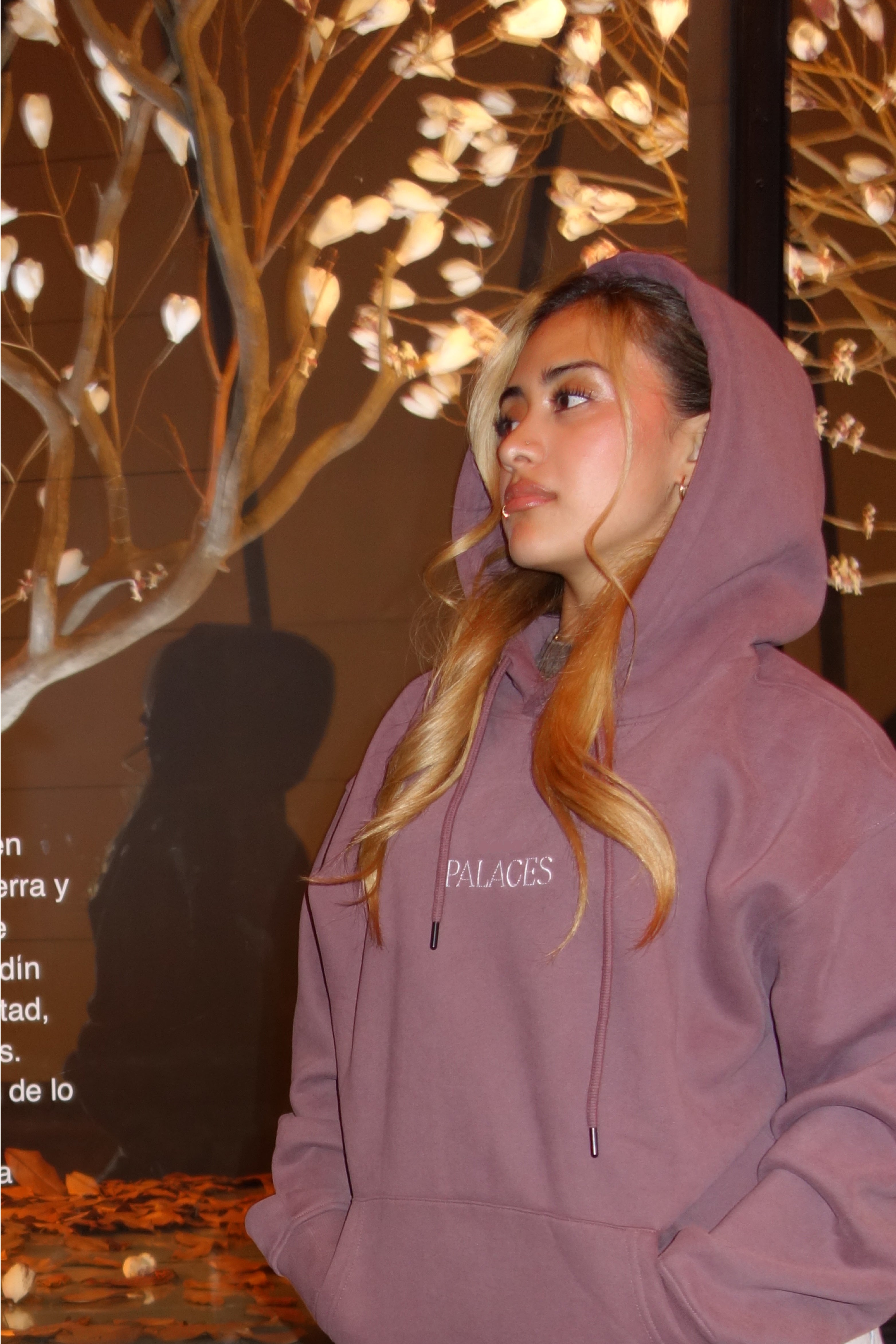 Hoodie Lujoso (HEAVYWEIGHT)